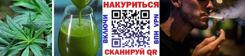 Купить где  Дигора  Cannafood конопля 