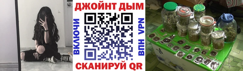Конопля гибрид  Купить  Дигора 